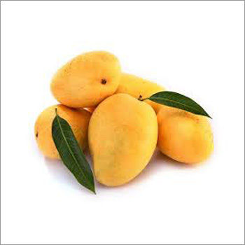 Fresh Mango Fruit