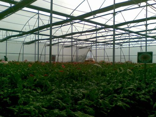 Green House Structures