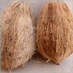  भूसा हुआ नारियल
