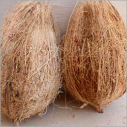 Husked Coconut - Premium Quality, Natural Color | Enhanced Shelf Life, High Energy Content, Impeccable Taste, Nutrient-Rich