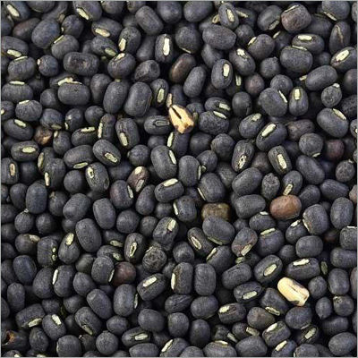 Black Gram Seeds