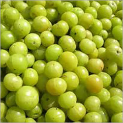 Fresh Gooseberry