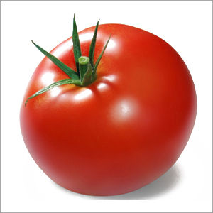 Fresh Tomato