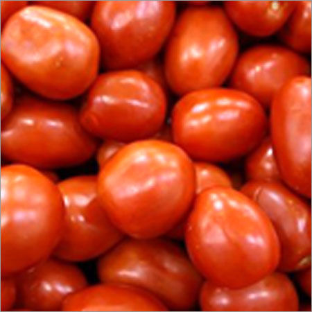 Fresh Tomato