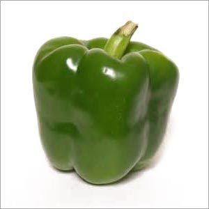 Green Bell Pepper