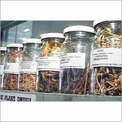 Ayurveda Herbal Products