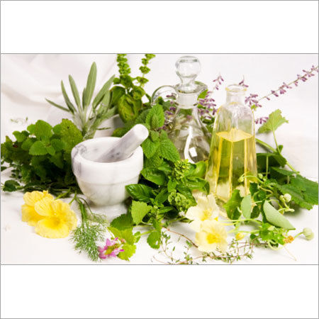 Herbal & Ayurvedic Relief Solutions - Premium Medicinal Herbs, Non-Allergic & Safe for All Ages, Long Shelf Life