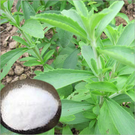Stevia Botanical Products