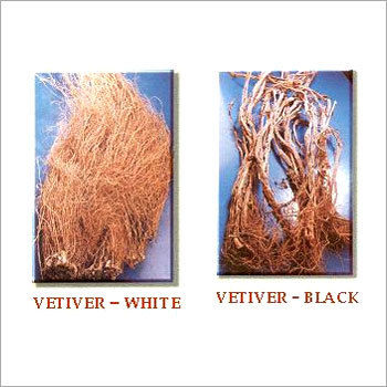 Vetiver Herb Products