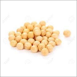 Organic Soybean Seeds