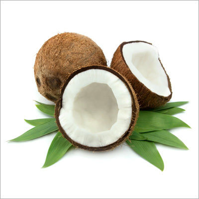 Fresh Coconut Shell