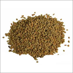 Fenugreek (Methi)