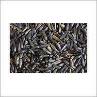 Niger Seeds