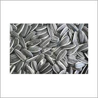 Sunflower Seeds