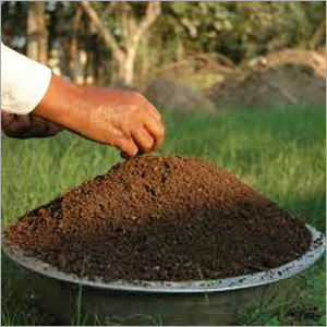 Organic Vermi Compost