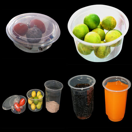 Transparent Disposable Containers