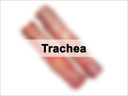 Buffalo Dried Trachea