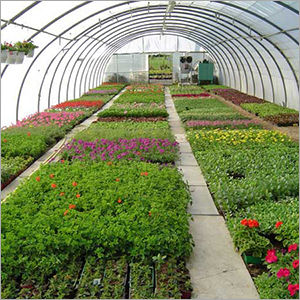 Horticultural Consultants Services