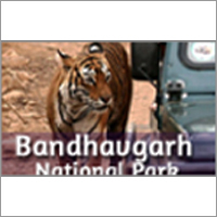 Bandhavgarh National Park Package Application: Gain Strength