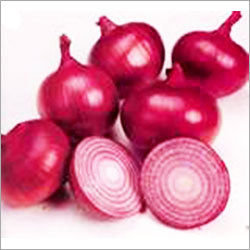 Big Red Onion