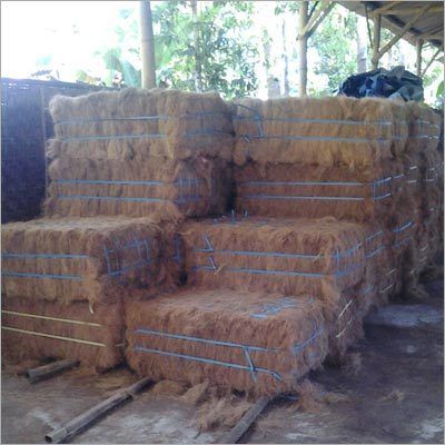 Coir Pith Fiber