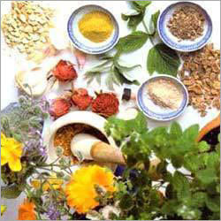Herbal Treatment Services