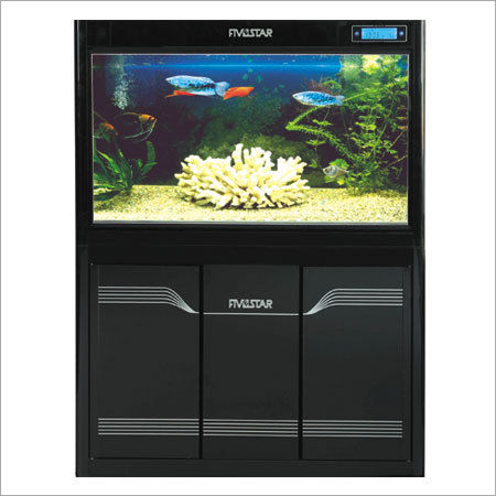 Custom Aquariums