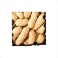 Organic Groundnuts