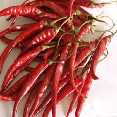 Eco-Friendly Red Chili