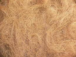 Natural Coir Fibre