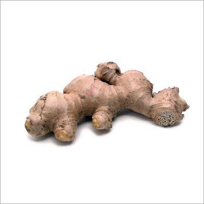 Ginger Root