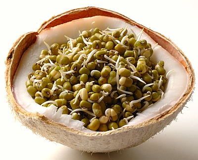 Sprouted Moong Namkeen