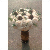 Dry Jinia Flower And Pine Dry Grasss