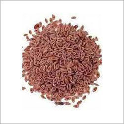 Psyllium Seed Husk