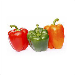 Fresh Green Capsicum