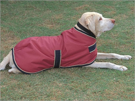 Dog Knitting Rug