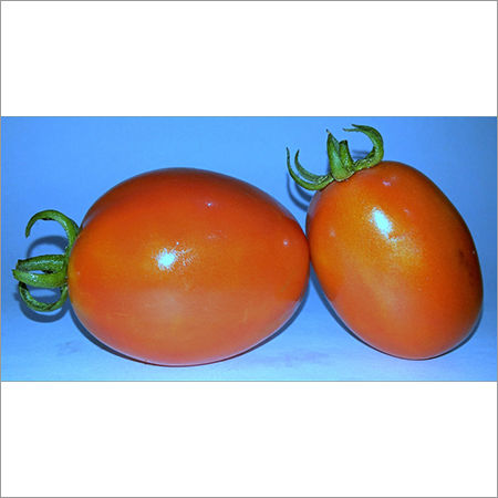 Fresh Red Tomato