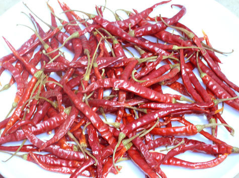 Red Chilli Dried