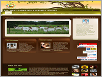 Custom Flash Header