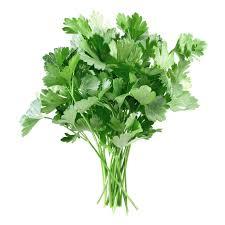 parsley