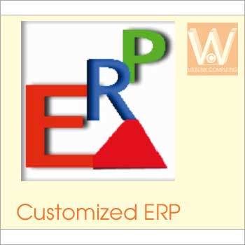 Customized ERP Software