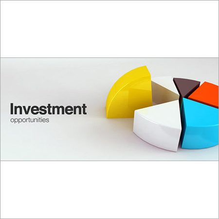 Business Investment Consultant