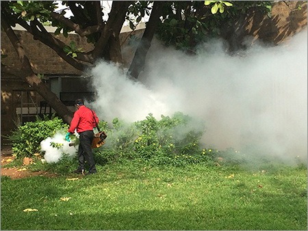 Ss Fogging Treatment Services