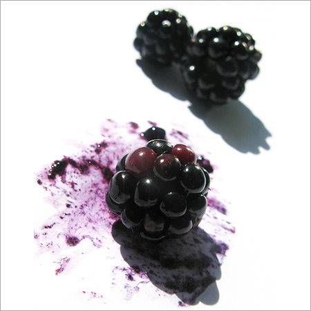 Fresh Blackberry