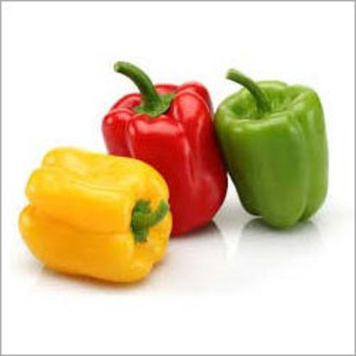 Fresh Capsicum