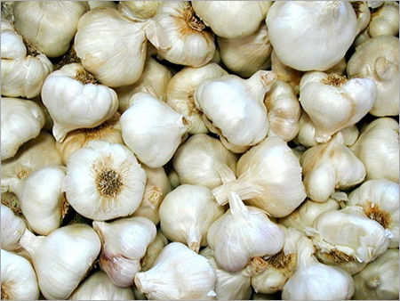 Fresh Garlic - Bulk Supply with Enhanced Medicinal Properties | Rich Source of Allicin, Strong Pungent Aroma, Custom Packaging