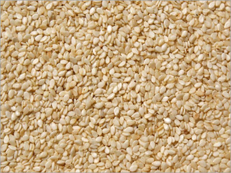 Sesame Seeds - Nature White Variety 99/1/99.90, 99/1/99.5, Bulk Packaging in 25, 50 kg PP and Paper Bags | Nutrient-Rich, Non-Adulterated, Health-Promoting Properties