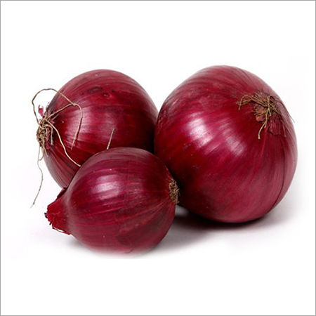 Red Onion - Edible Bulb, Various Sizes Available | Pungent Flavor for Diverse Culinary Uses