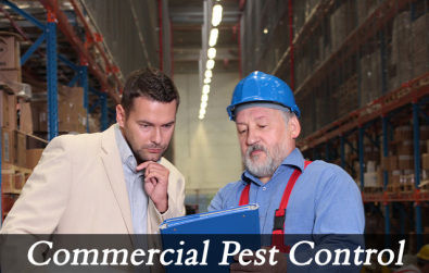 Steel Commercial Pest Control Services