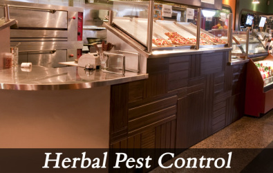 Herbal Pest Control Services By ORION PEST SOLUTIONS PVT. LTD.